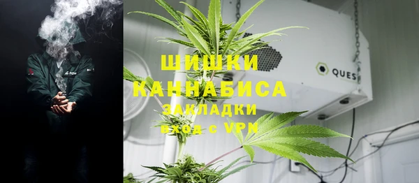 винт Алзамай