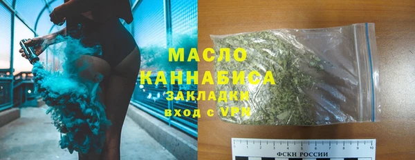 стаф Аркадак
